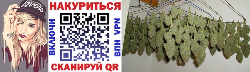 Бошки Шишки ГИДРОПОН  где купить   Шенкурск 